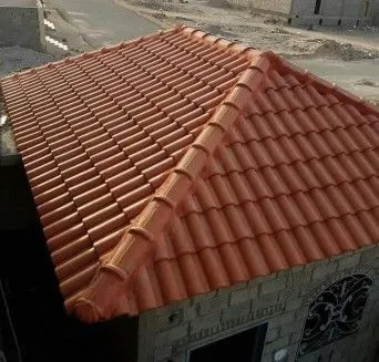 صورة